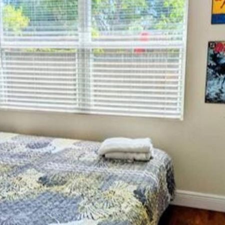 Spacious House With Big Backyard In N. Hyde Park / Close To Downtown Tampa Exterior foto